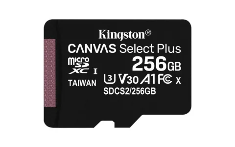 Kingston 256GB Canvas Select Plus MicroSDXC UHS-I Klasse 10